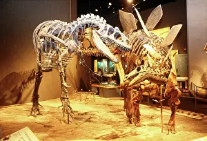 Denver: Prehistoric Journey Exhibit