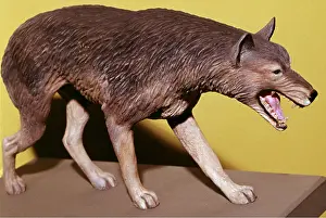 Model: Prehistoric Model - Dire Wolf