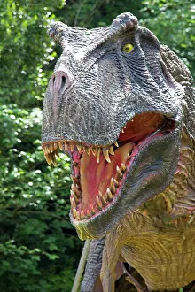 Models: Prehistoric Reconstruction - close up head of Tyrannosaurus