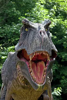 Models: Prehistoric Reconstruction - close up head of Tyrannosaurus