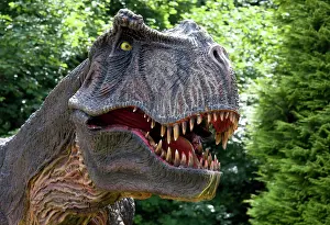 Models: Prehistoric Reconstruction - close up head of Tyrannosaurus