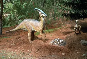 Parasaurolophus: Prehistoric Reconstruction - Hadrosaur / Parasaurolophus