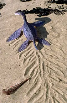Plesiosaur: Prehistoric Reconstruction - Hatchling Plesiosaur