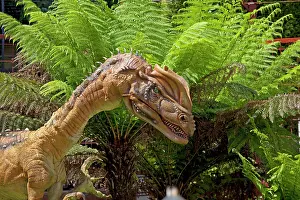 Models: Prehistoric Reconstruction - Head of Dilophosaurus