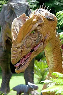 Models: Prehistoric Reconstruction - Head of Dilophosaurus