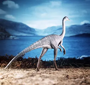 Arthur Hayward: Prehistoric reconstruction - Ornithomimus model