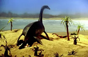 Plesiosaur: Prehistoric Reconstruction - Plesiosaur laying eggs