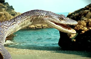 Models: Prehistoric Reconstruction: Plesiosaurus macrocephalus