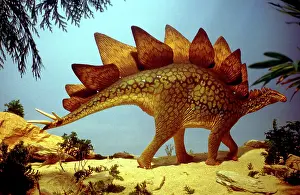 Prehistoric Reconstruction - Stegosauraus Stenops
