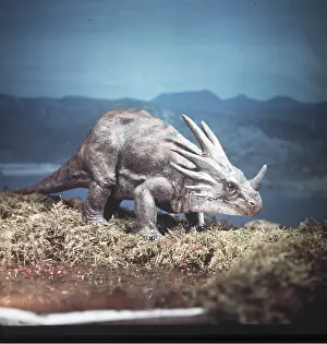 Model: Prehistoric reconstruction - STYRACOSAURAUS Dinosaur
