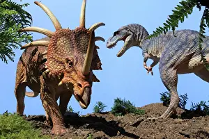 Models: Prehistoric Reconstruction: Tyrannosaur and Styracosaur