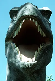 Model: Prehistoric Reconstruction - Tyrannosaurus Rex model