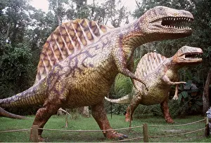 Model: PREHISTORIC RECONSTUCTION - Spinosaurus Dinosaur