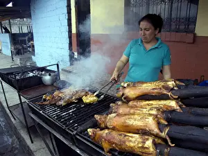 Smoking: Preparing grilled Domestic Guinea Pigs Quito Ecuador