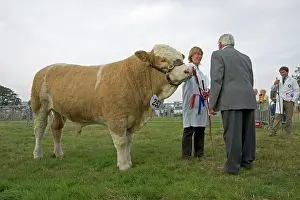 Moreton: Presenting first prize for winning pedigree British