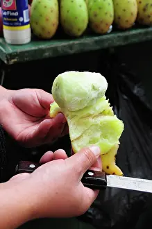 Preparing: Prickly pear cactus