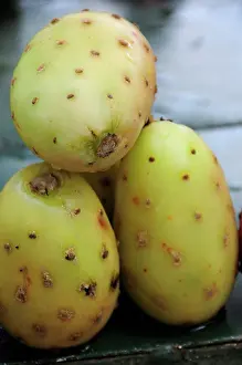 Beard: Prickly pear cactus