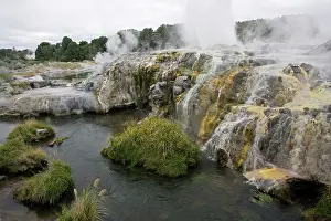 Geysers: Prince of Wales Feather Geyser