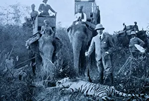 Trophy: PRINTS - British in India, standing around tiger