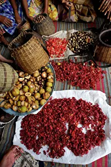 Agricultre: Processing Nutmeg - red coloured mace