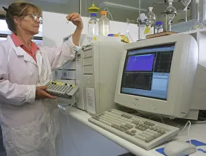 Liquid: Processing pyrethrum