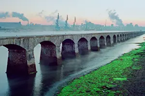 Atlantiques: Proliferation of green algae on the banks of the
