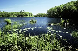 Pocono: Promised Land State Park