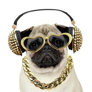Headphones: DOG