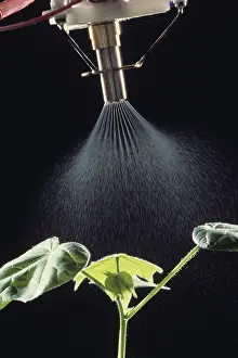 Watering: Prototype electrostatic plant sprayer