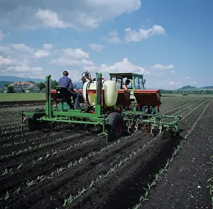 Multi: Prototype machine for maize cultivation
