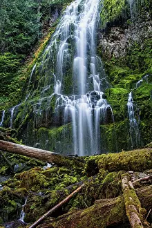 Northwest: Proxy Falls in Oregon