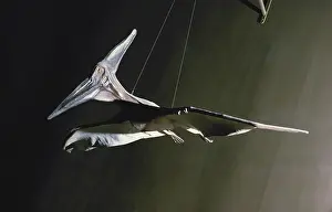 Replica: Pteranodon