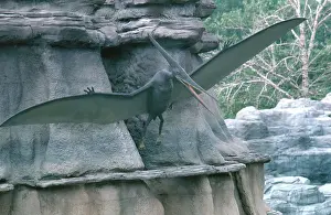 Replica: Pterosaur