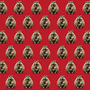 Pudding: Pudding Cat pattern