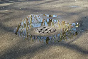 Drainage: Puddle after Rain