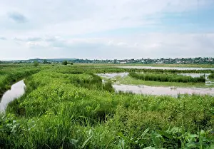 Rspb: Pulborough Brooks Nature Reserve (RSPB)