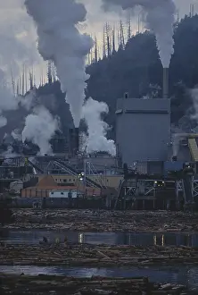 Stacks: Pulp Mill