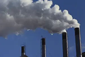Stacks: Pulp & Paper Mill Smoke