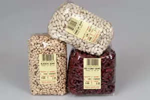 Kidney: Pulse Crops