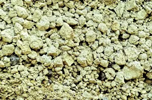 Glassy: Pumice