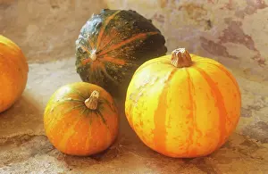 Curcubita: Pumpkin