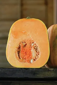 Curcubita: Pumpkin