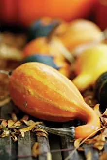 Loads: Pumpkin