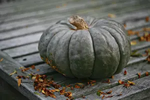 Collected: Pumpkin