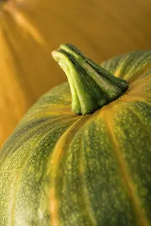 Squash: Pumpkin