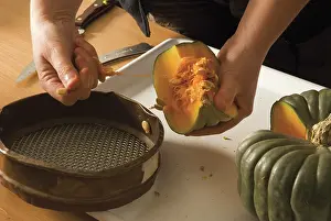 Model: Pumpkin
