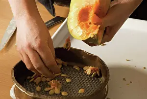 Model: Pumpkin