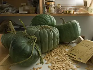 Collected: Pumpkin