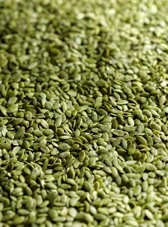 Pepo: Pumpkin seeds, Cucurbita pepo, Mass of green seeds