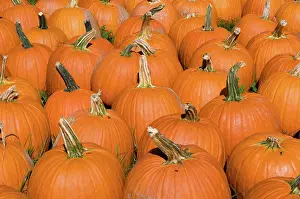 Pumpkins: Pumpkins